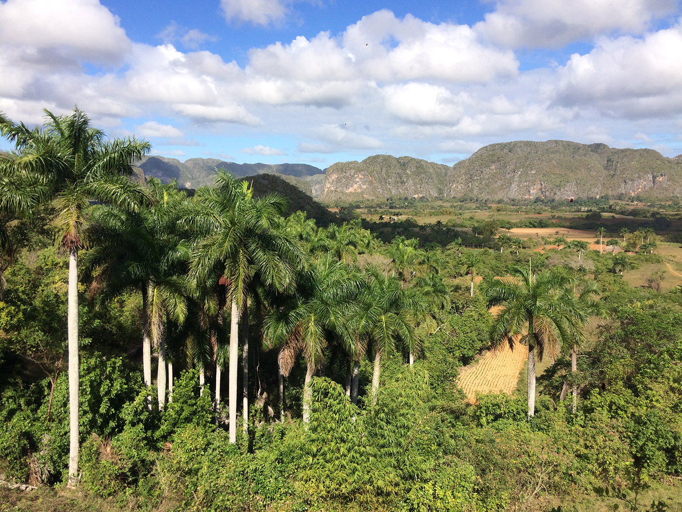 KUUBA: Viñales istandused, koopad ja maaliline loodus