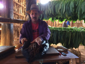 KUUBA: Viñales istandused, koopad ja maaliline loodus